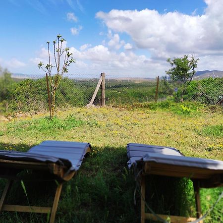 Complejo Rural Del Molino Dorado Βίλα Facinas Εξωτερικό φωτογραφία