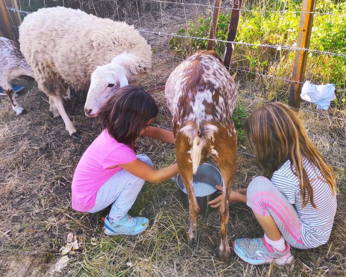 Complejo Rural Del Molino Dorado Βίλα Facinas Εξωτερικό φωτογραφία