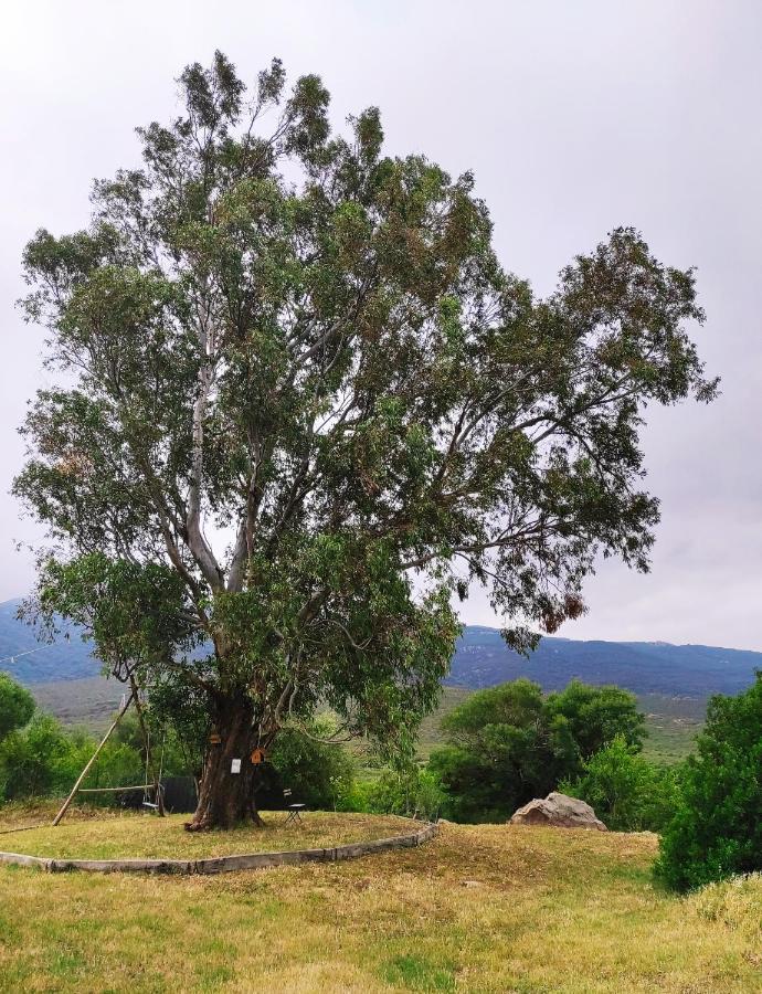 Complejo Rural Del Molino Dorado Βίλα Facinas Εξωτερικό φωτογραφία