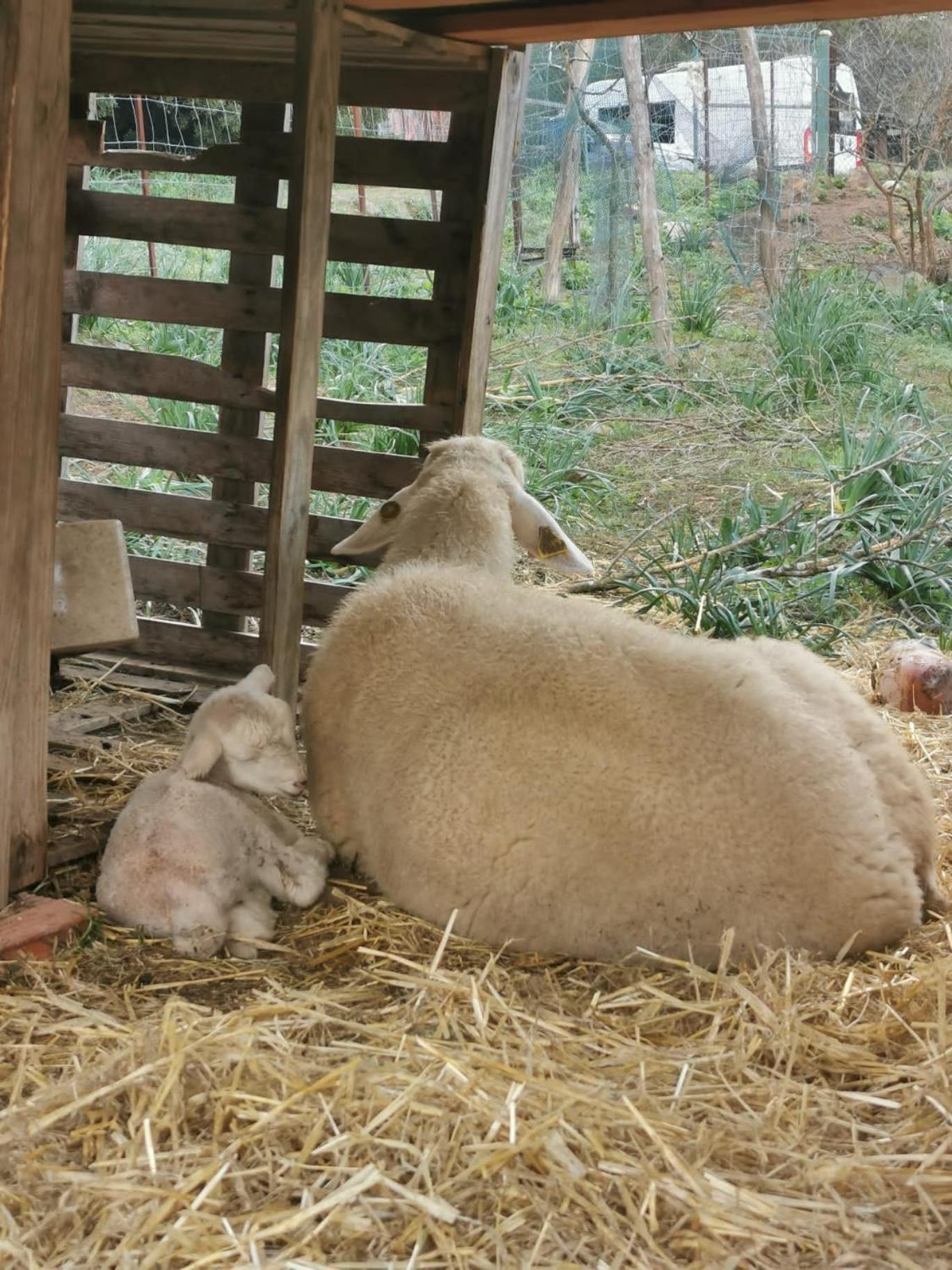 Complejo Rural Del Molino Dorado Βίλα Facinas Εξωτερικό φωτογραφία