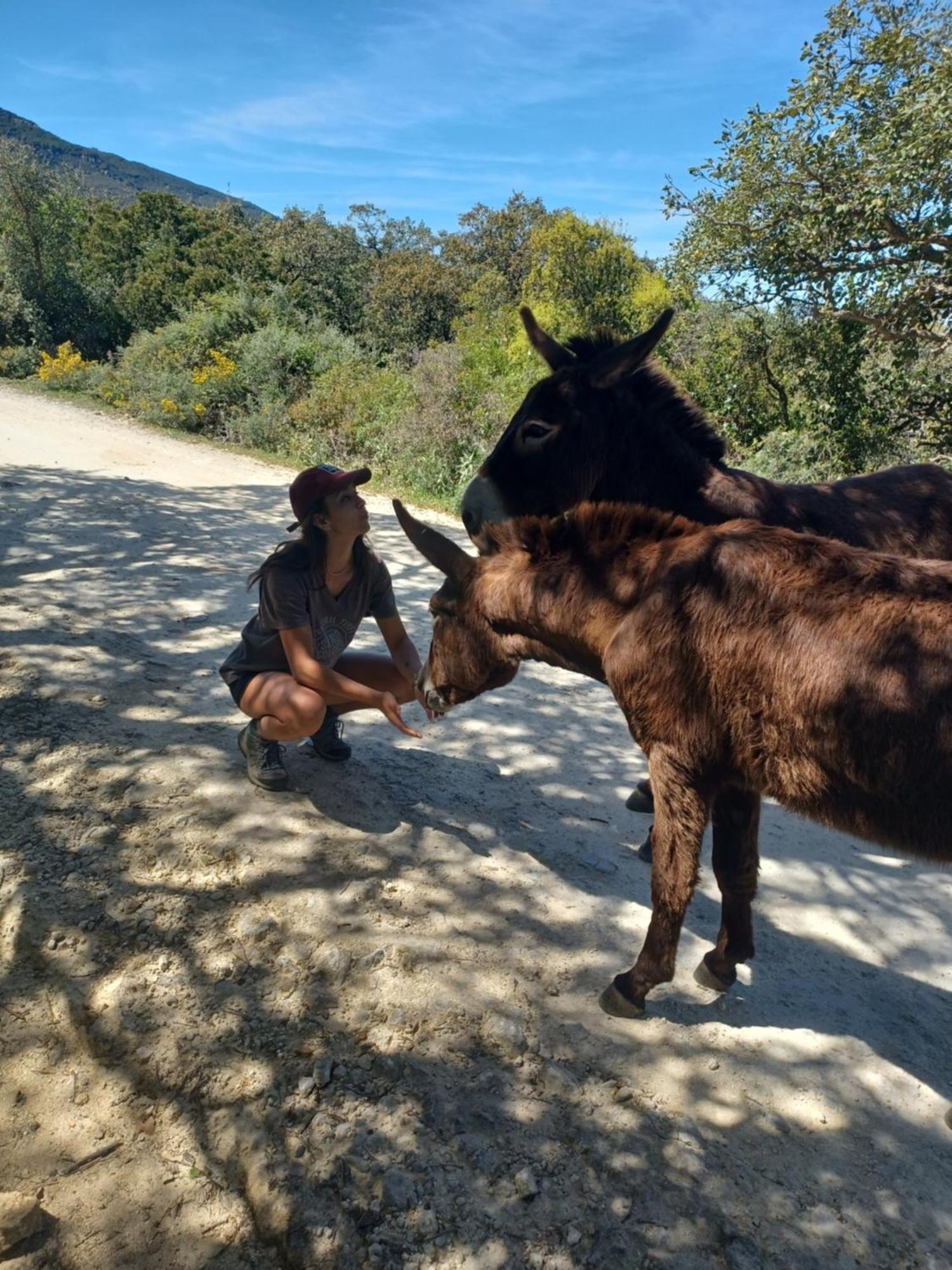 Complejo Rural Del Molino Dorado Βίλα Facinas Εξωτερικό φωτογραφία