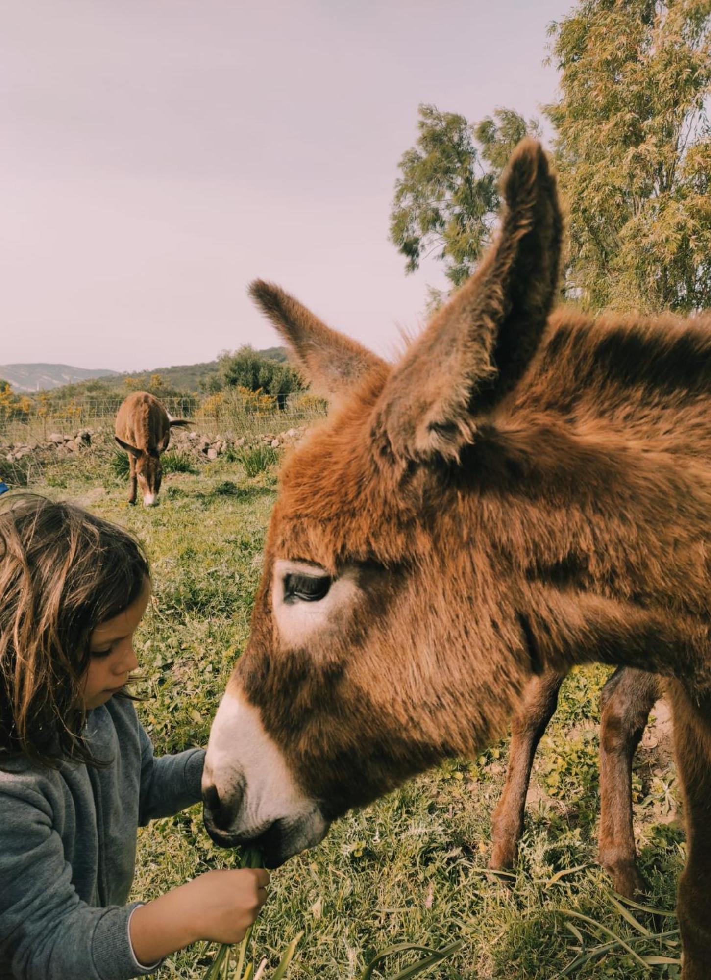 Complejo Rural Del Molino Dorado Βίλα Facinas Εξωτερικό φωτογραφία